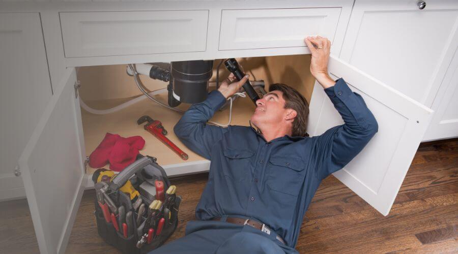 Professional Leak Detection in Wood, SD
